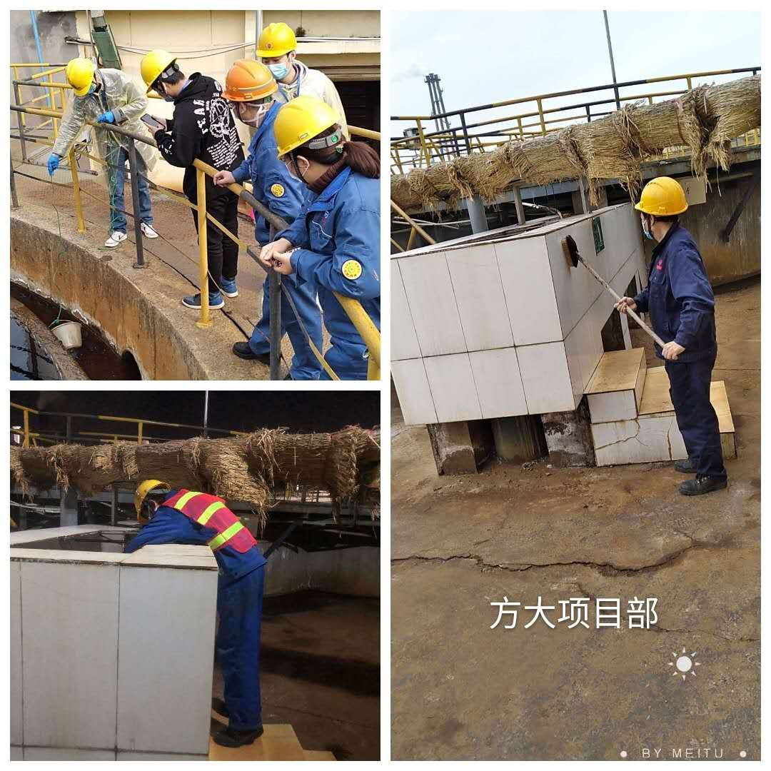 &#20113;&#39030;&#38598;&#22242;&#51;&#49;&#49;&#56;